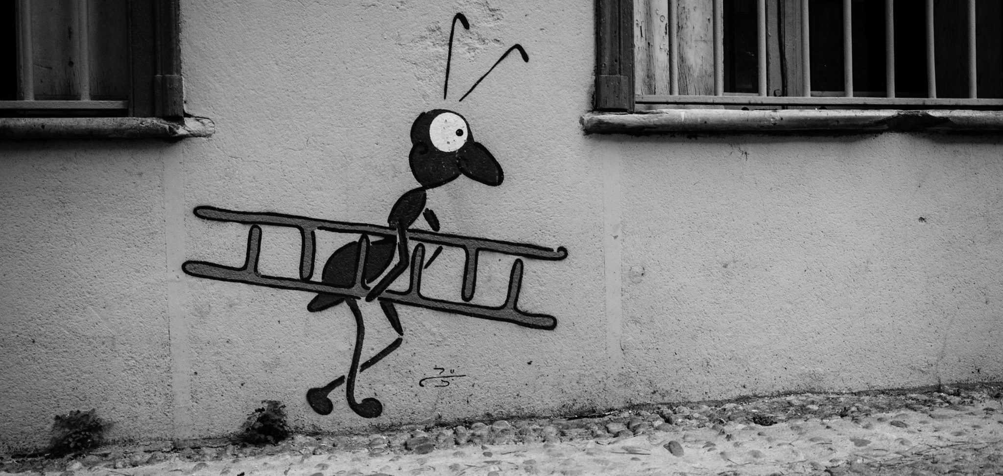 contact-foumi-mail-courriel-graff